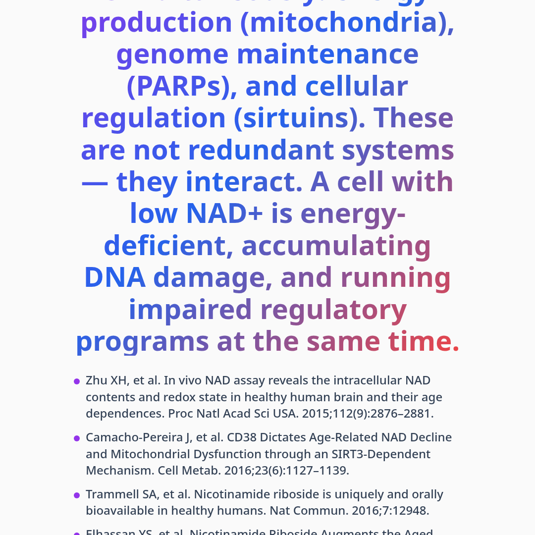 Bottom line — NAD+ Precursors and Cellular Aging: What Research Shows