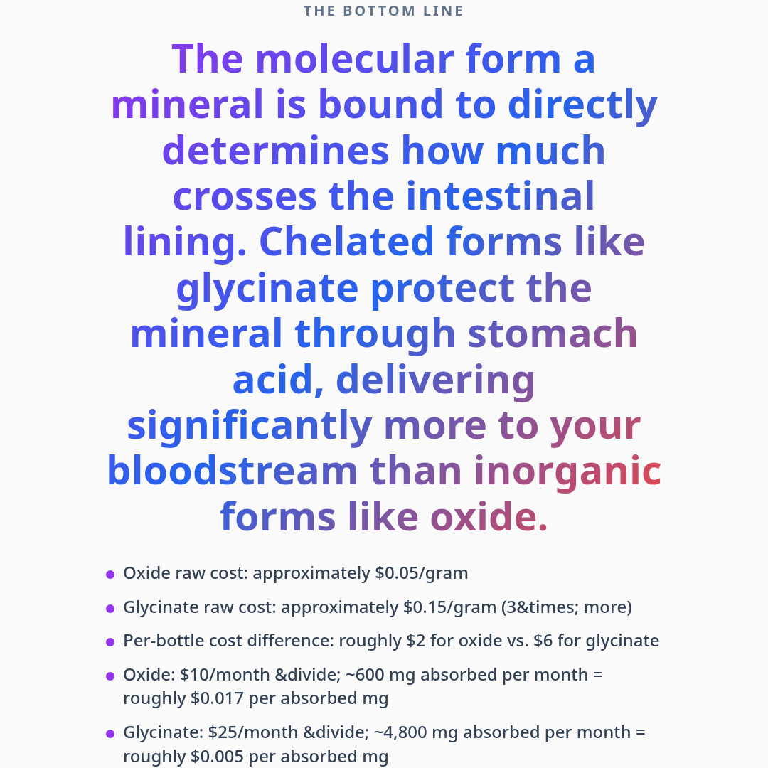 Bottom line — Breaking Down Bioavailability: Why All Magnesium Isn't Equal